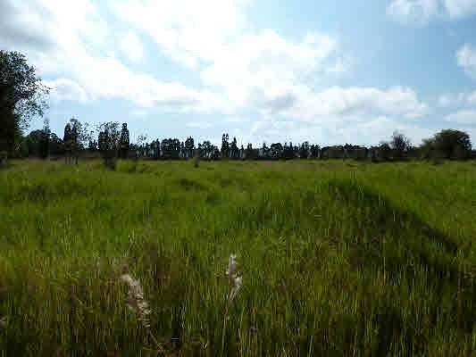 99.2 Acres of Recreational Land & Farm for Sale in Mountain View, Hawaii