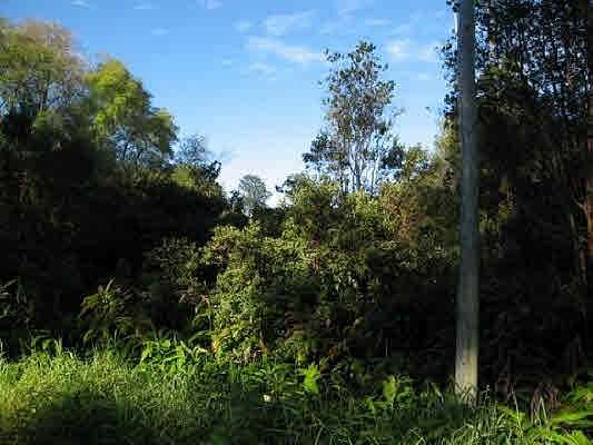 195 Acres of Agricultural Land for Sale in Volcano, Hawaii