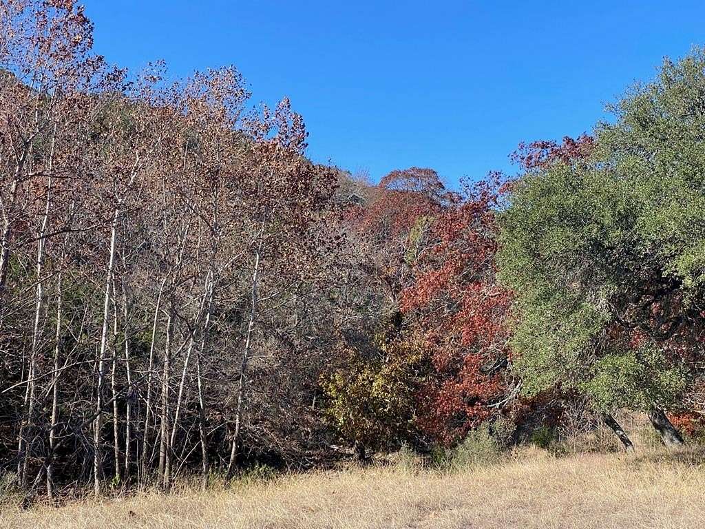 4.34 Acres of Residential Land for Sale in Harper, Texas