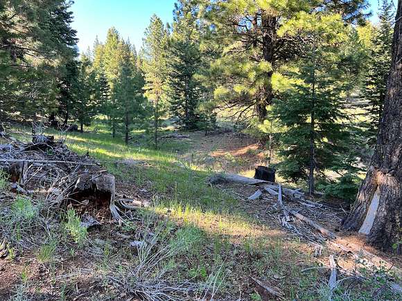 0.96 Acres of Residential Land for Sale in Alturas, California