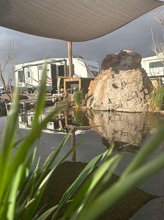 0.08 Acres of Residential Land for Sale in Animas, New Mexico