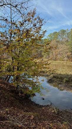 1.17 Acres of Residential Land for Sale in Cross Hill, South Carolina