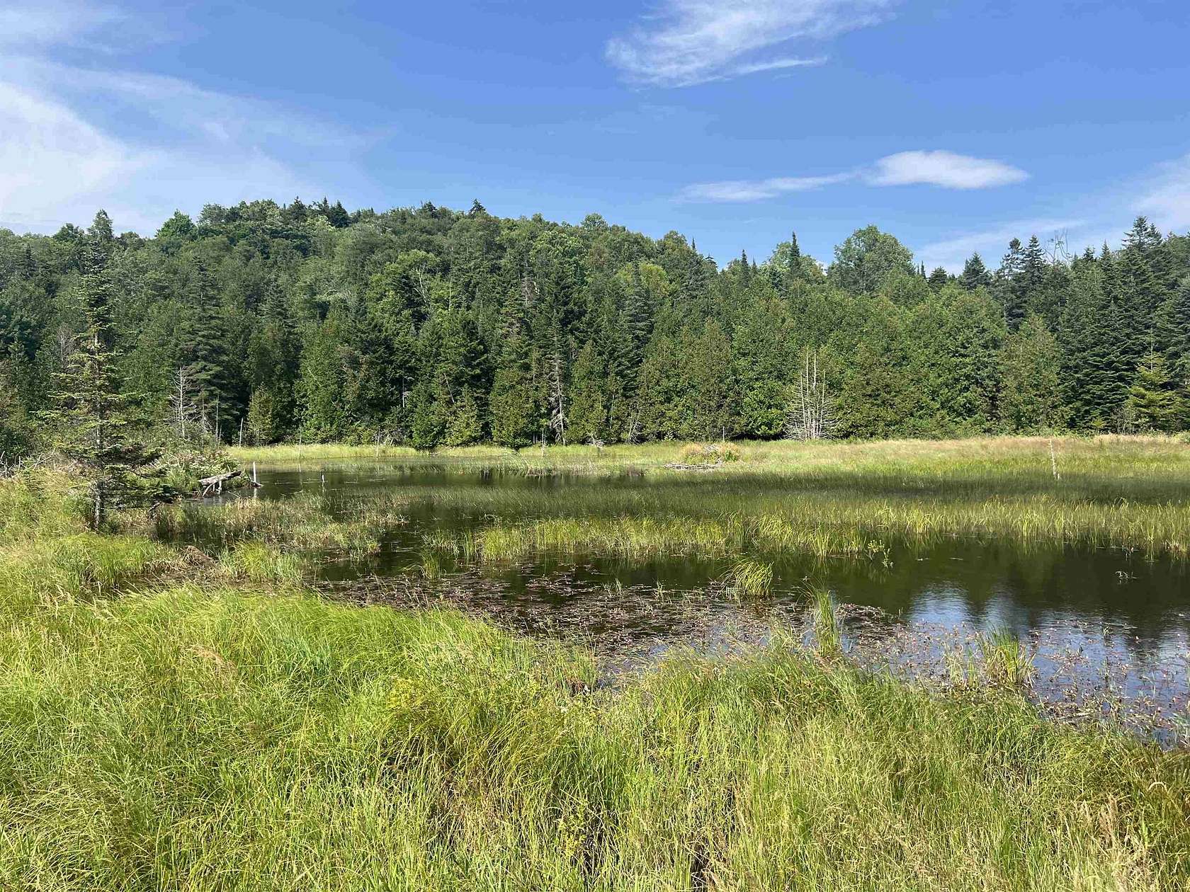31 Acres of Land for Sale in Albany, Vermont
