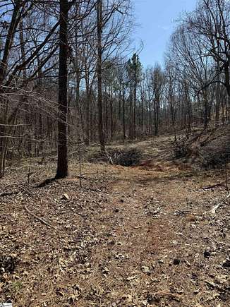 10 Acres of Recreational Land for Sale in Union, South Carolina