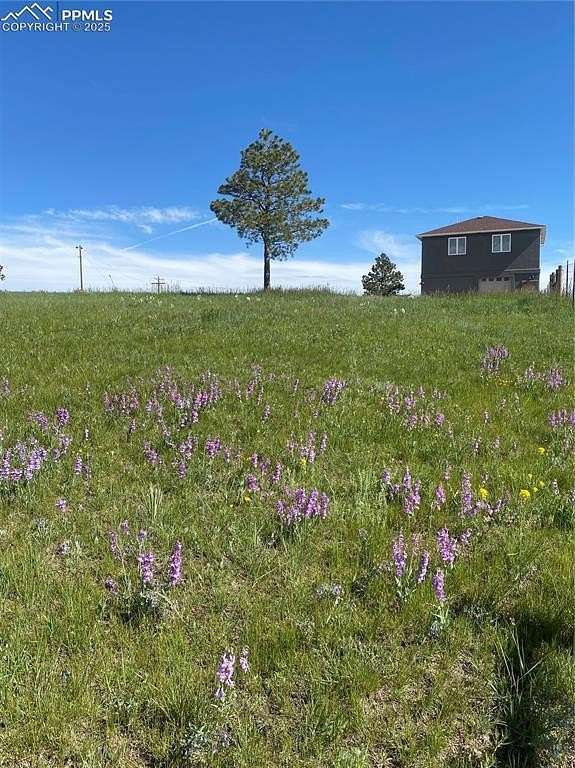5 Acres of Residential Land with Home for Sale in Elbert, Colorado