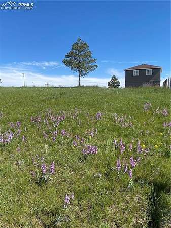 5 Acres of Residential Land with Home for Sale in Elbert, Colorado