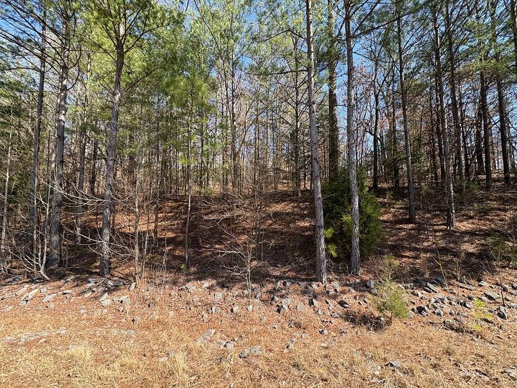 3.39 Acres of Residential Land for Sale in Cohutta, Georgia