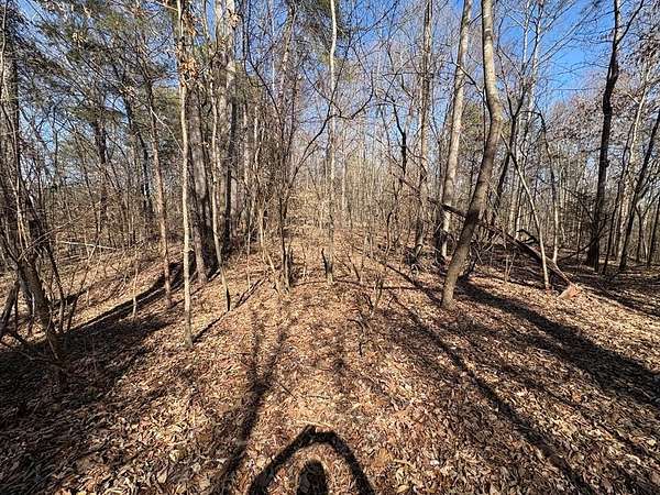 3.39 Acres of Residential Land for Sale in Cohutta, Georgia