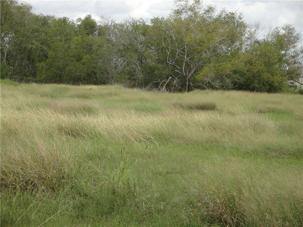 0.43 Acres of Residential Land for Sale in Dinero, Texas