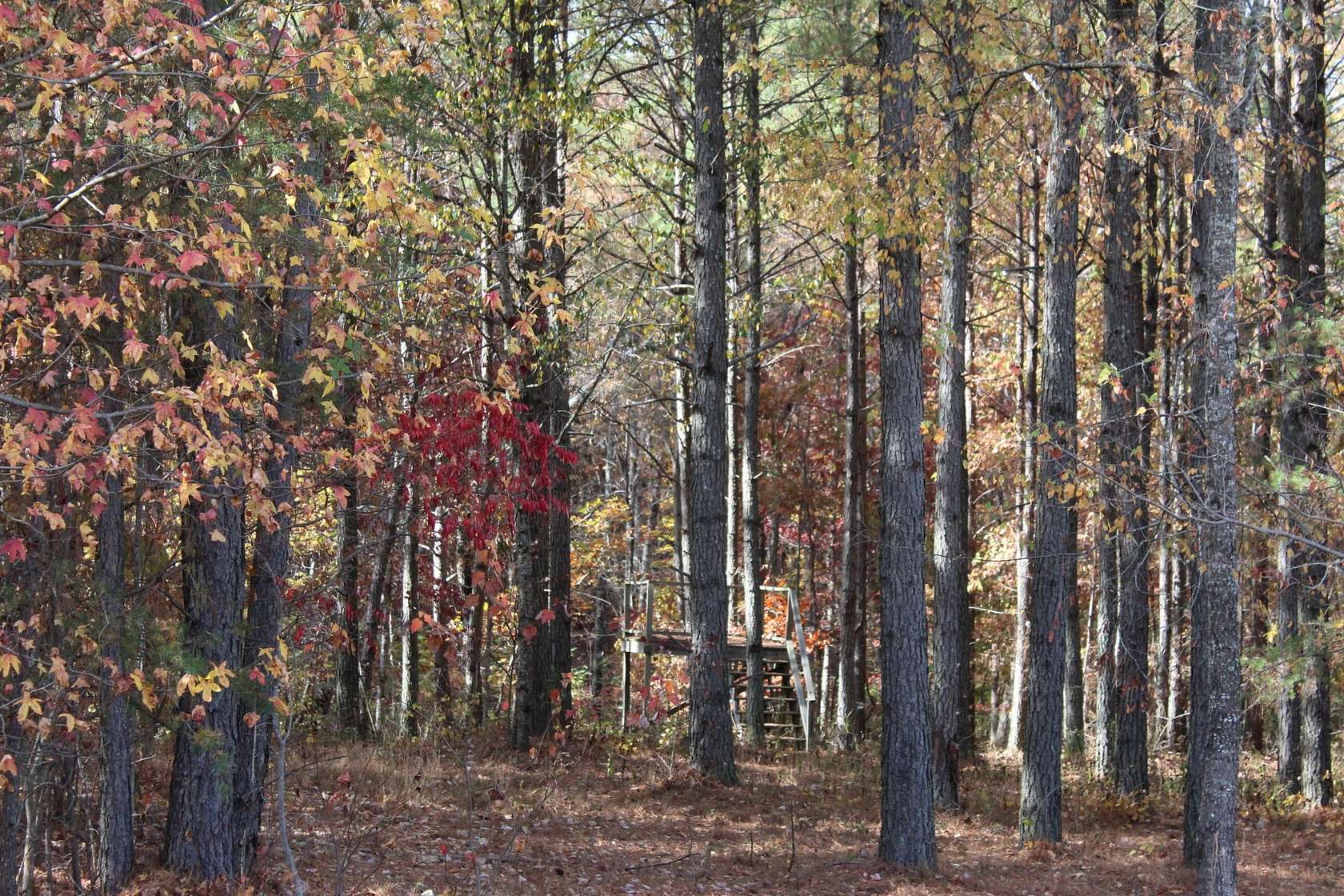 1.14 Acres of Residential Land for Sale in Jasper, Tennessee