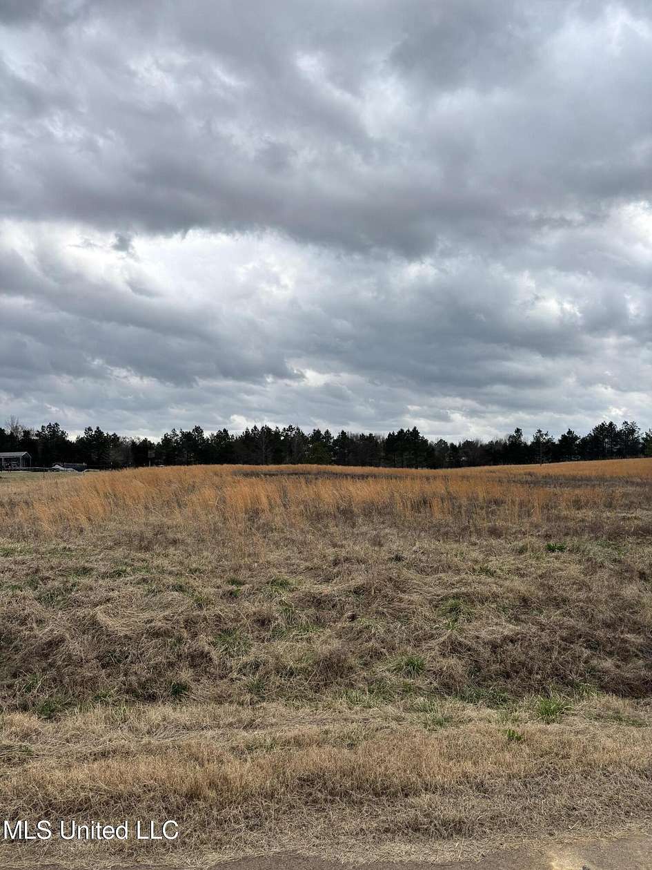 2 Acres of Residential Land for Sale in Red Banks, Mississippi