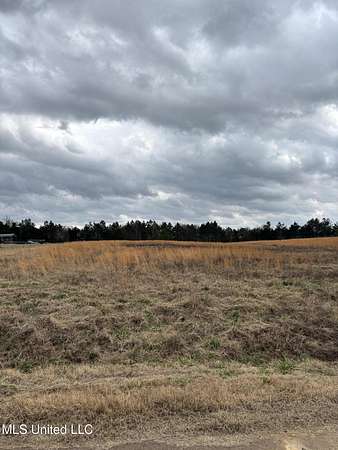 2 Acres of Residential Land for Sale in Red Banks, Mississippi