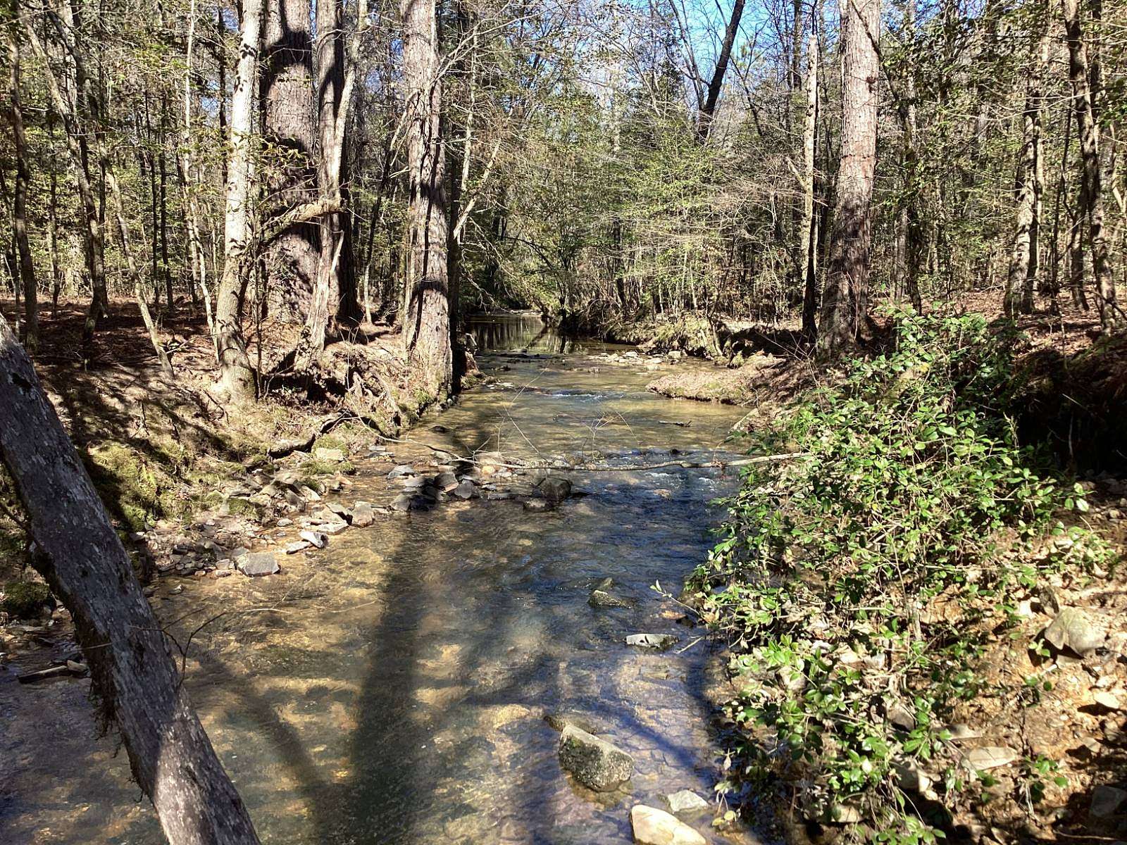 159 Acres of Land for Sale in Newhope, Arkansas