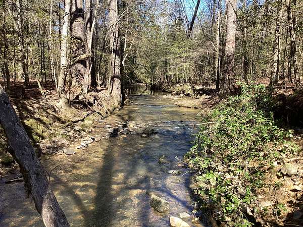 159 Acres of Land for Sale in Newhope, Arkansas