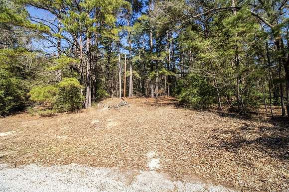 19.1 Acres of Recreational Land for Sale in Oakwood, Texas