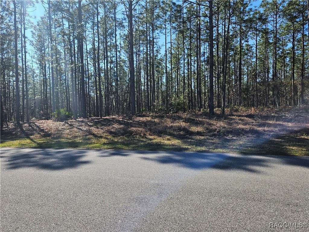 0.23 Acres of Residential Land for Sale in Dunnellon, Florida