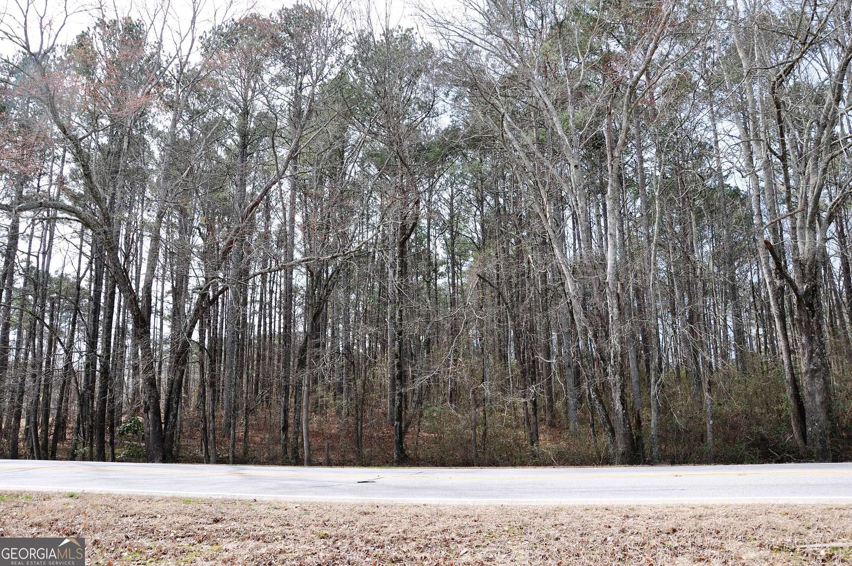 2.67 Acres of Land for Sale in Bethlehem, Georgia