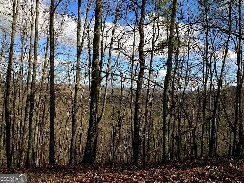 1.4 Acres of Land for Sale in Ranger, Georgia