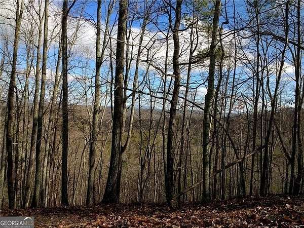 1.4 Acres of Land for Sale in Ranger, Georgia