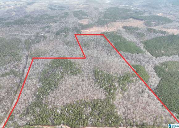 156 Acres of Recreational Land for Sale in Wedowee, Alabama