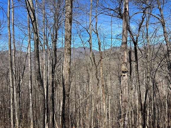 1.2 Acres of Land for Sale in Hiawassee, Georgia