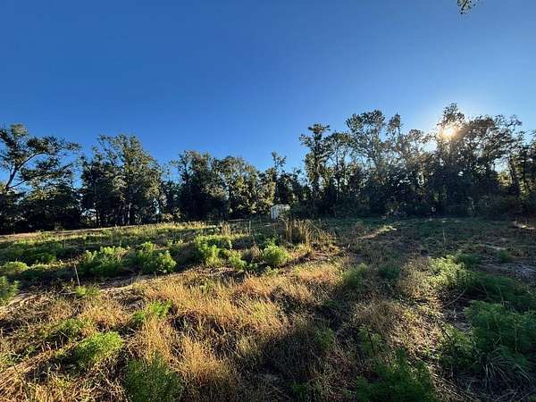 1 Acre of Land for Sale in Lee, Florida