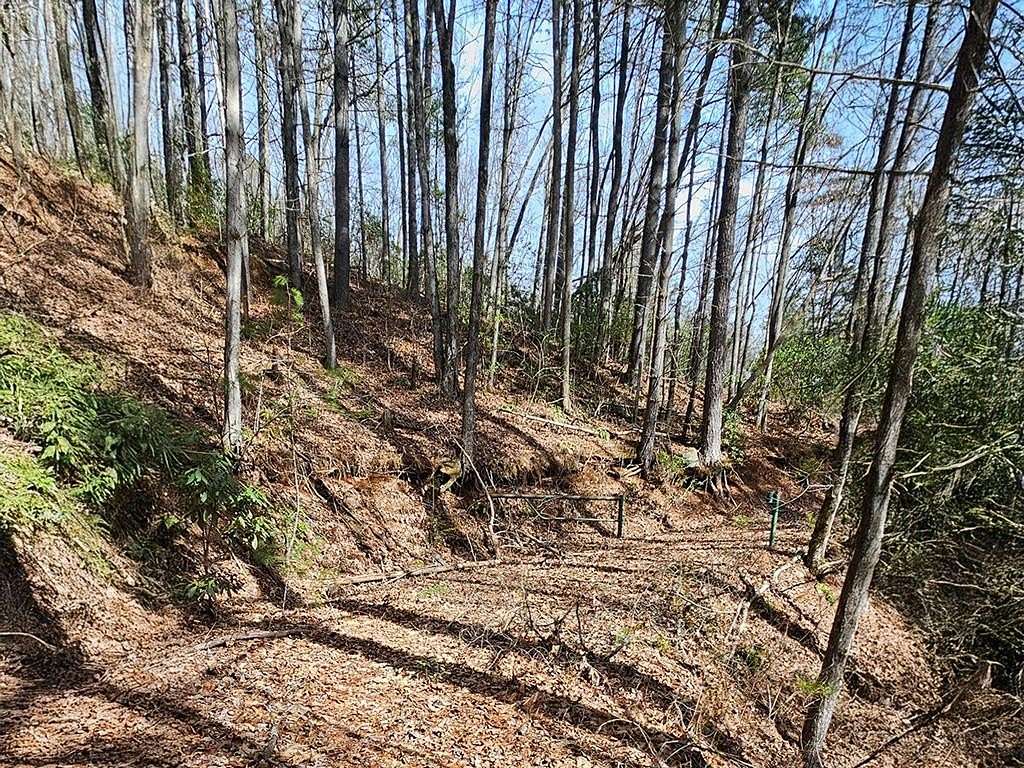4 Acres of Land for Sale in Sylva, North Carolina