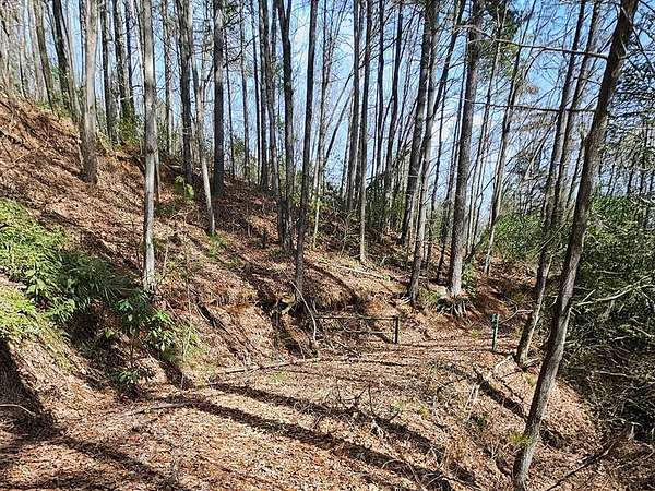 4 Acres of Land for Sale in Sylva, North Carolina