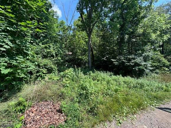 0.1 Acres of Residential Land for Sale in Jefferson Township, New Jersey