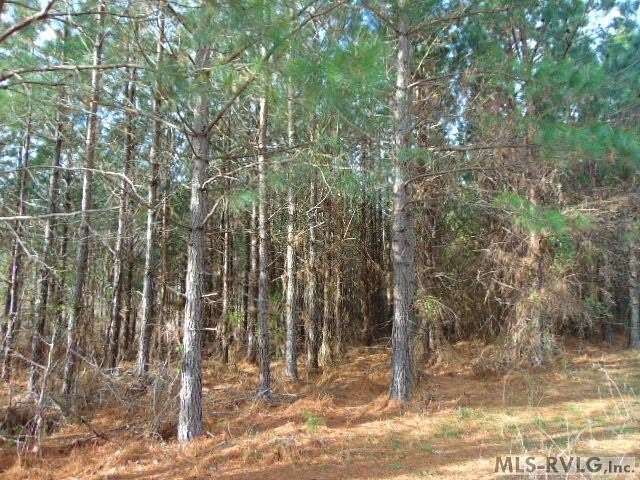 61 Acres of Land for Sale in Brodnax, Virginia