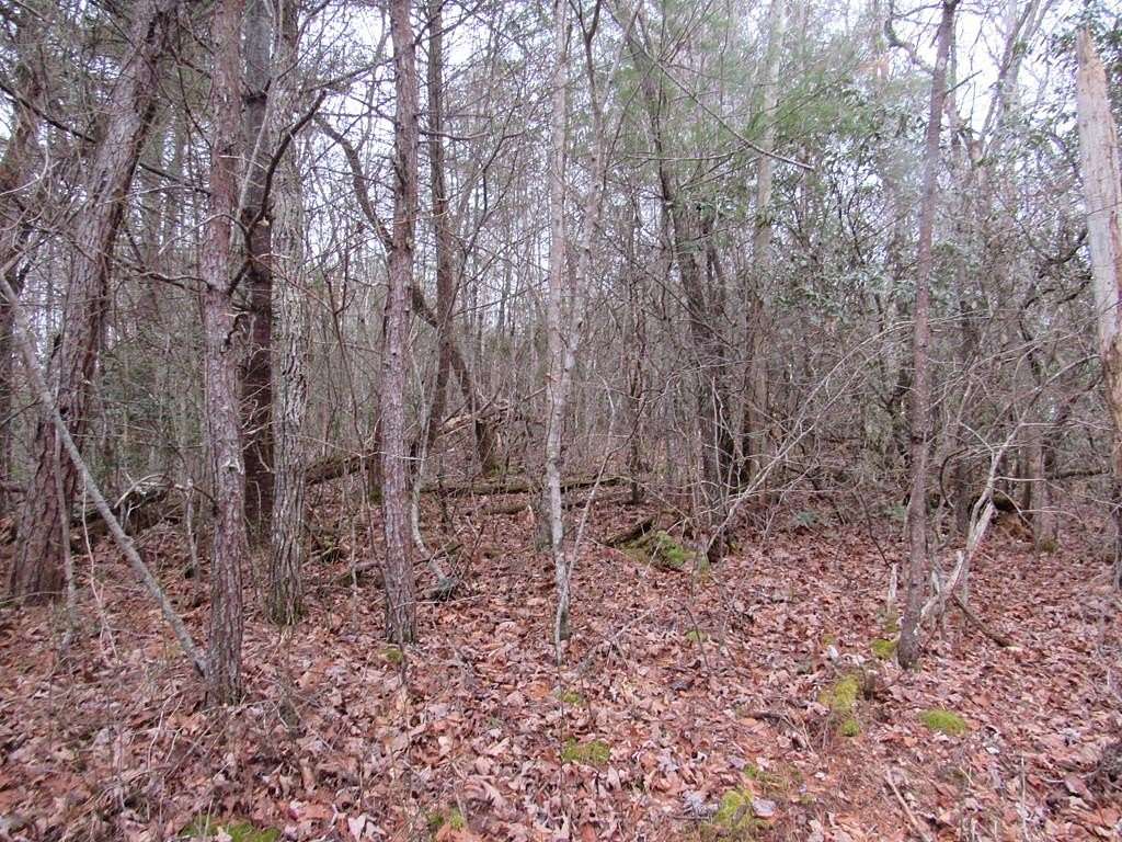 1 Acre of Land for Sale in Murphy, North Carolina