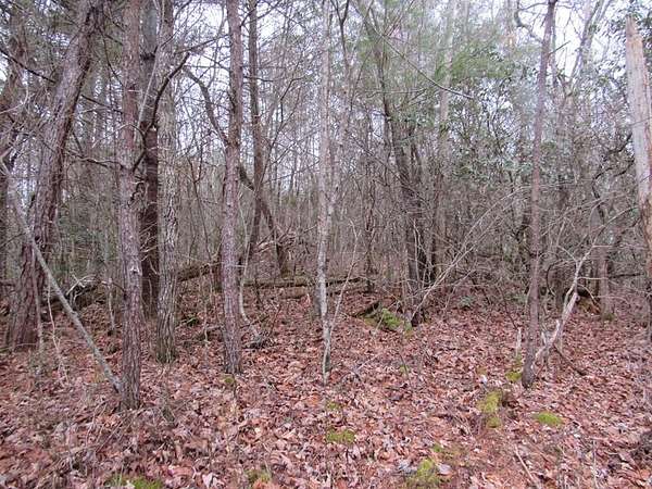 1 Acre of Land for Sale in Murphy, North Carolina