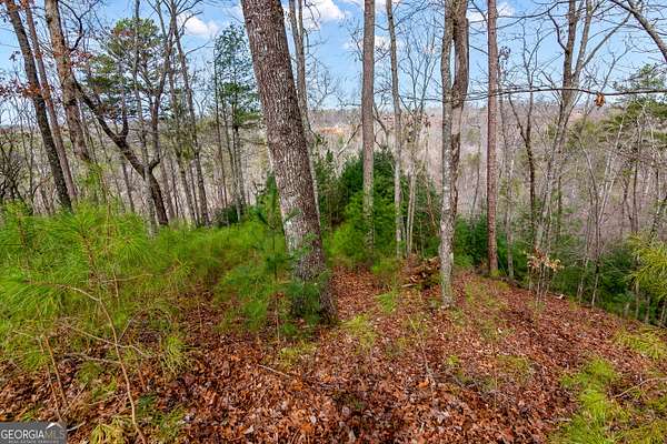 0.91 Acres of Residential Land for Sale in Ellijay, Georgia