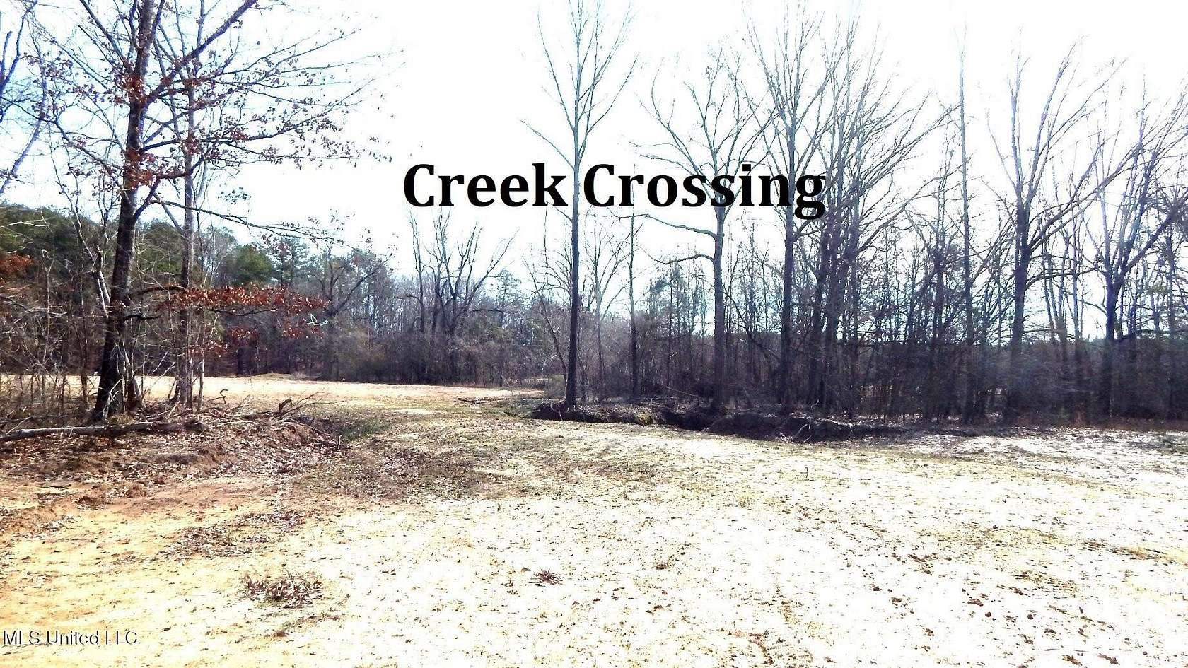 21.5 Acres of Recreational Land for Sale in Bruce, Mississippi