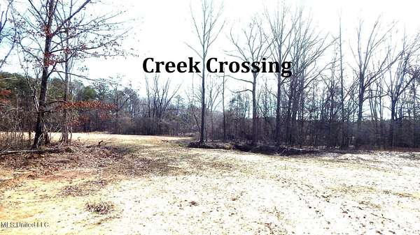 21.5 Acres of Recreational Land for Sale in Bruce, Mississippi