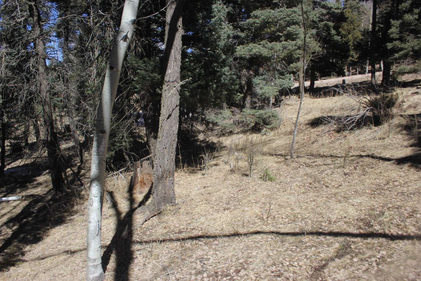 0.8 Acres of Land for Sale in Angel Fire, New Mexico