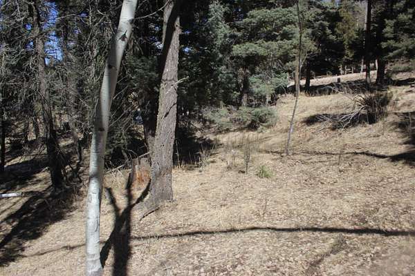 0.8 Acres of Land for Sale in Angel Fire, New Mexico