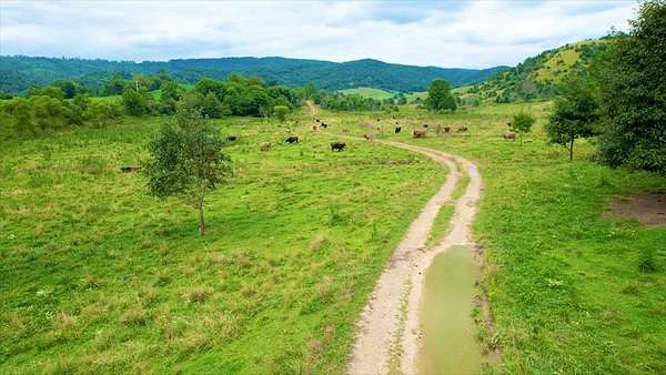 700 Acres of Recreational Land & Farm for Sale in Saltville, Virginia