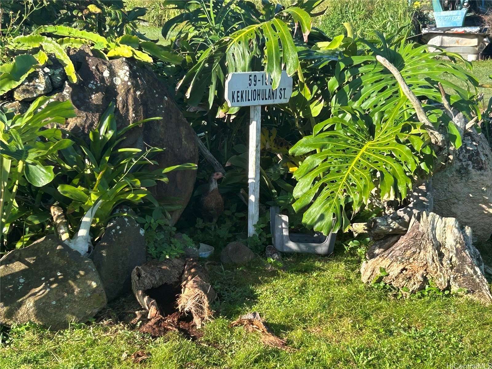 3.53 Acres of Residential Land for Sale in Haleiwa, Hawaii