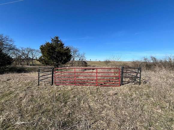 23 Acres of Recreational Land for Sale in Blue Ridge, Texas