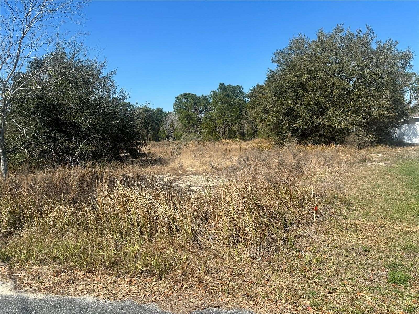 0.35 Acres of Residential Land for Sale in Ocala, Florida
