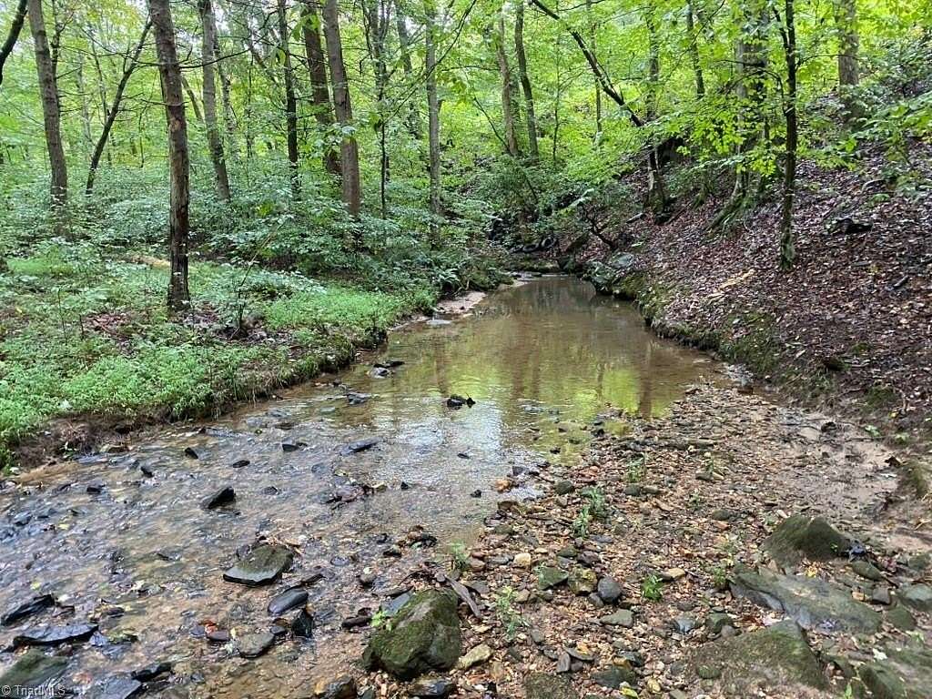 20.6 Acres of Recreational Land for Sale in Pilot Mountain, North Carolina