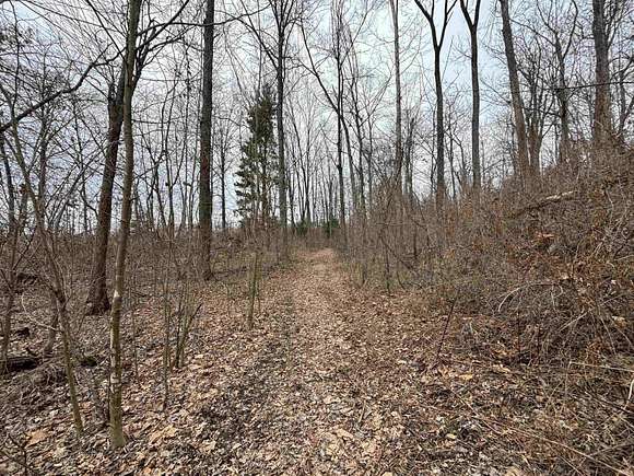 18.3 Acres of Recreational Land for Sale in Jasonville, Indiana