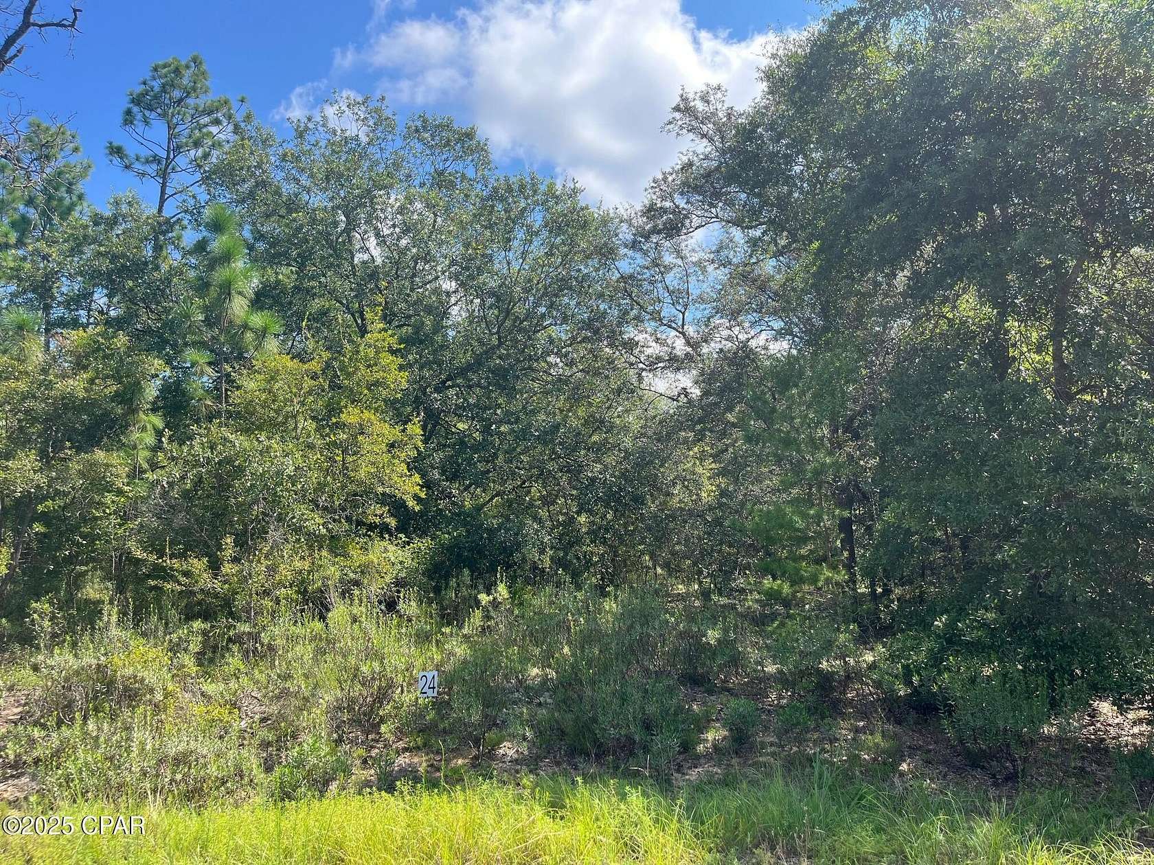 1.19 Acres of Residential Land for Sale in Chipley, Florida