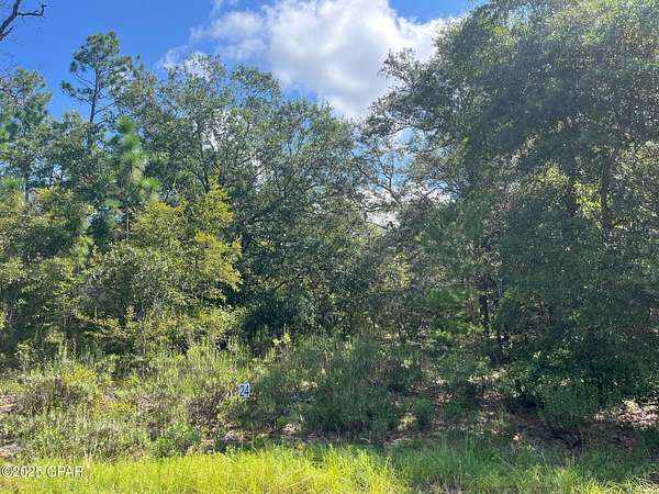 1.19 Acres of Residential Land for Sale in Chipley, Florida