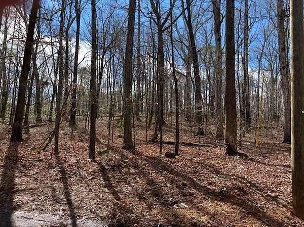 4.76 Acres of Residential Land for Sale in Ellenwood, Georgia