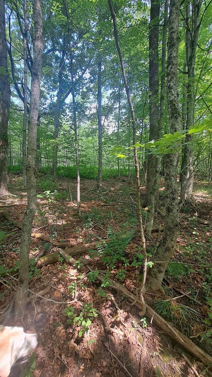1.2 Acres of Residential Land for Sale in Dover, Vermont