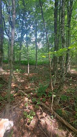 1.2 Acres of Residential Land for Sale in Dover, Vermont