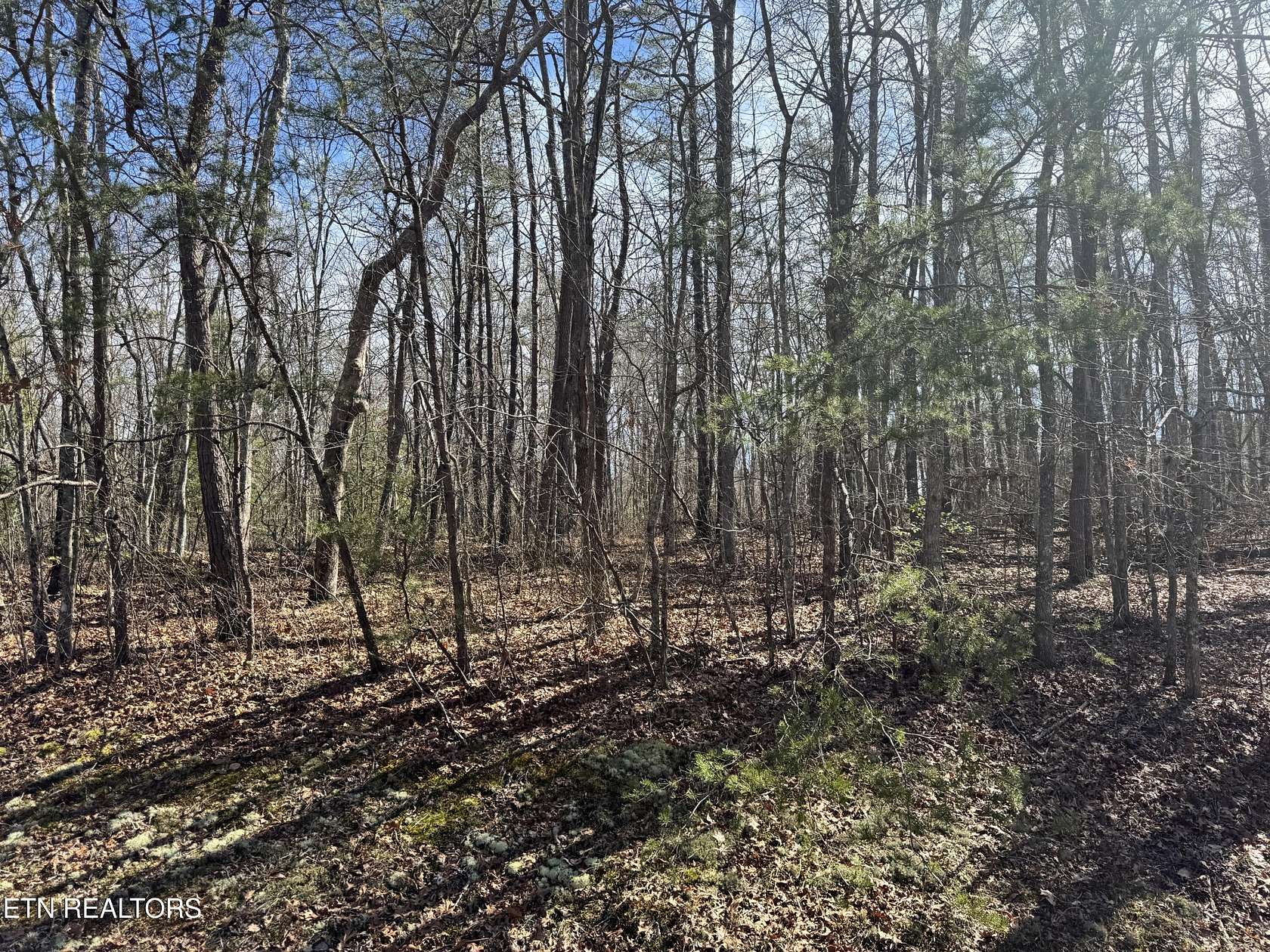 1 Acre of Land for Sale in Monterey, Tennessee