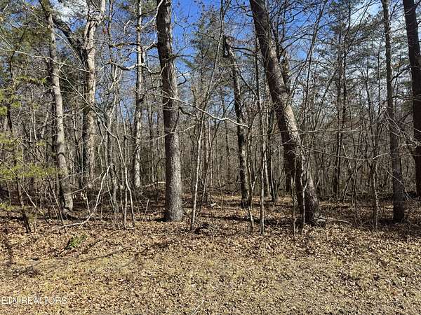 0.97 Acres of Residential Land for Sale in Monterey, Tennessee